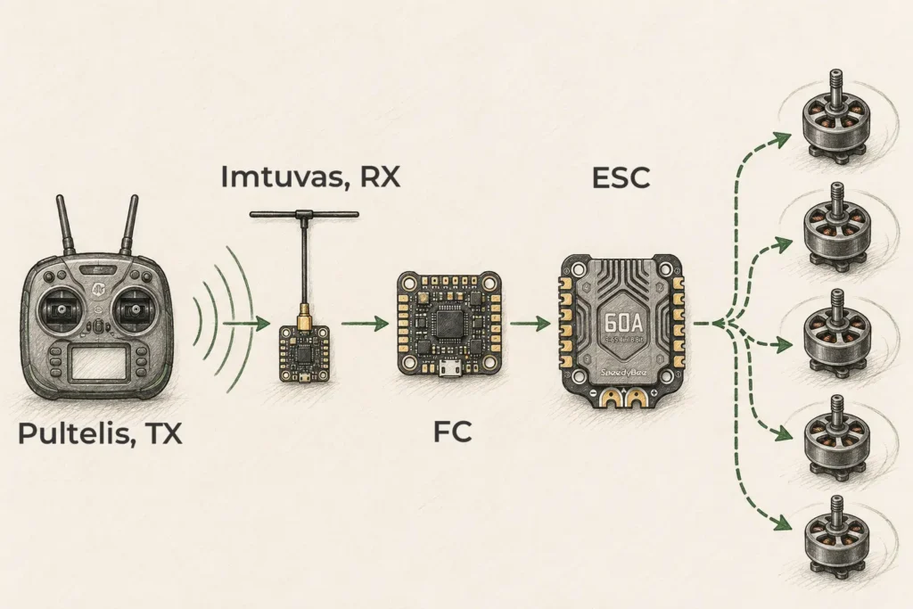 ELRS veikimo schema